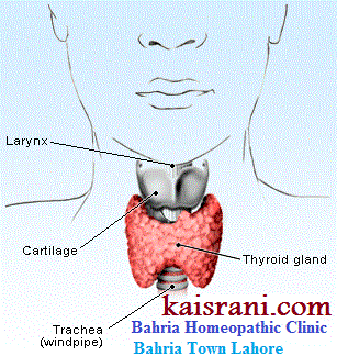A homeopathic treatment of Hoarseness – A Causticum case