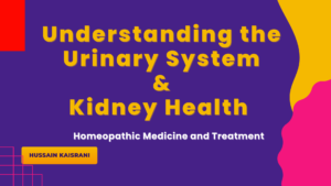 Understanding the Urinary System and Homeopathic Treatments for Kidney Disorders | Hussain Kaisrani