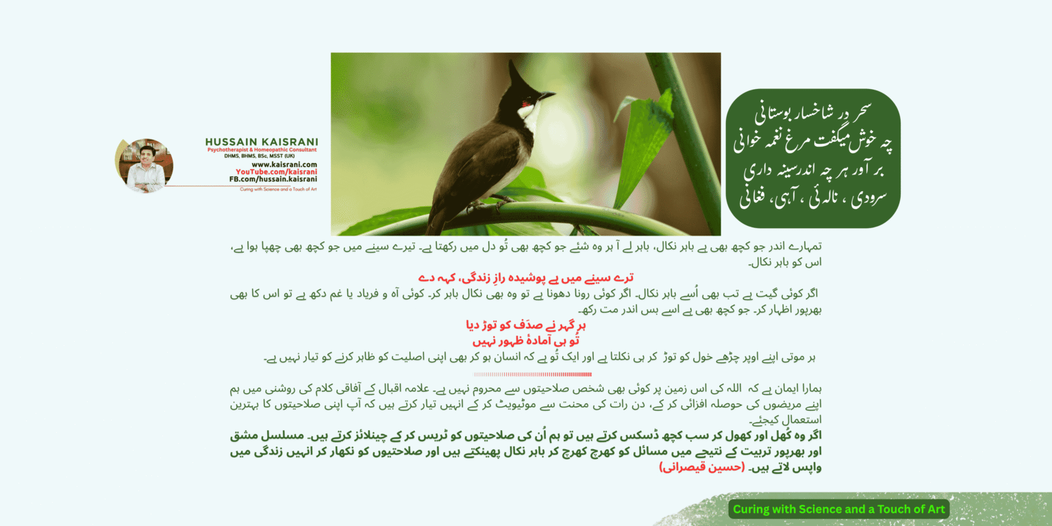 <span class="urdu-title" dir="rtl">اپنی صلاحیتوں کا بہترین استعمال کیجئے</span>